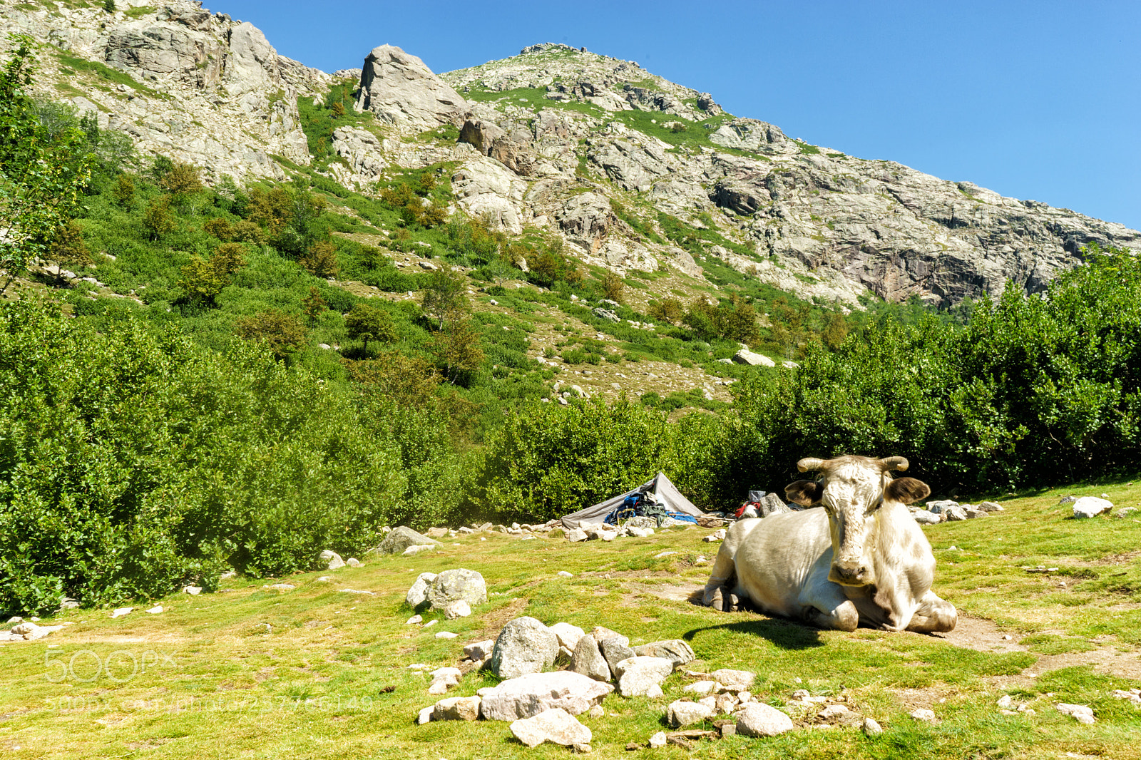 Sony a7 sample photo. Corse gr20 photography