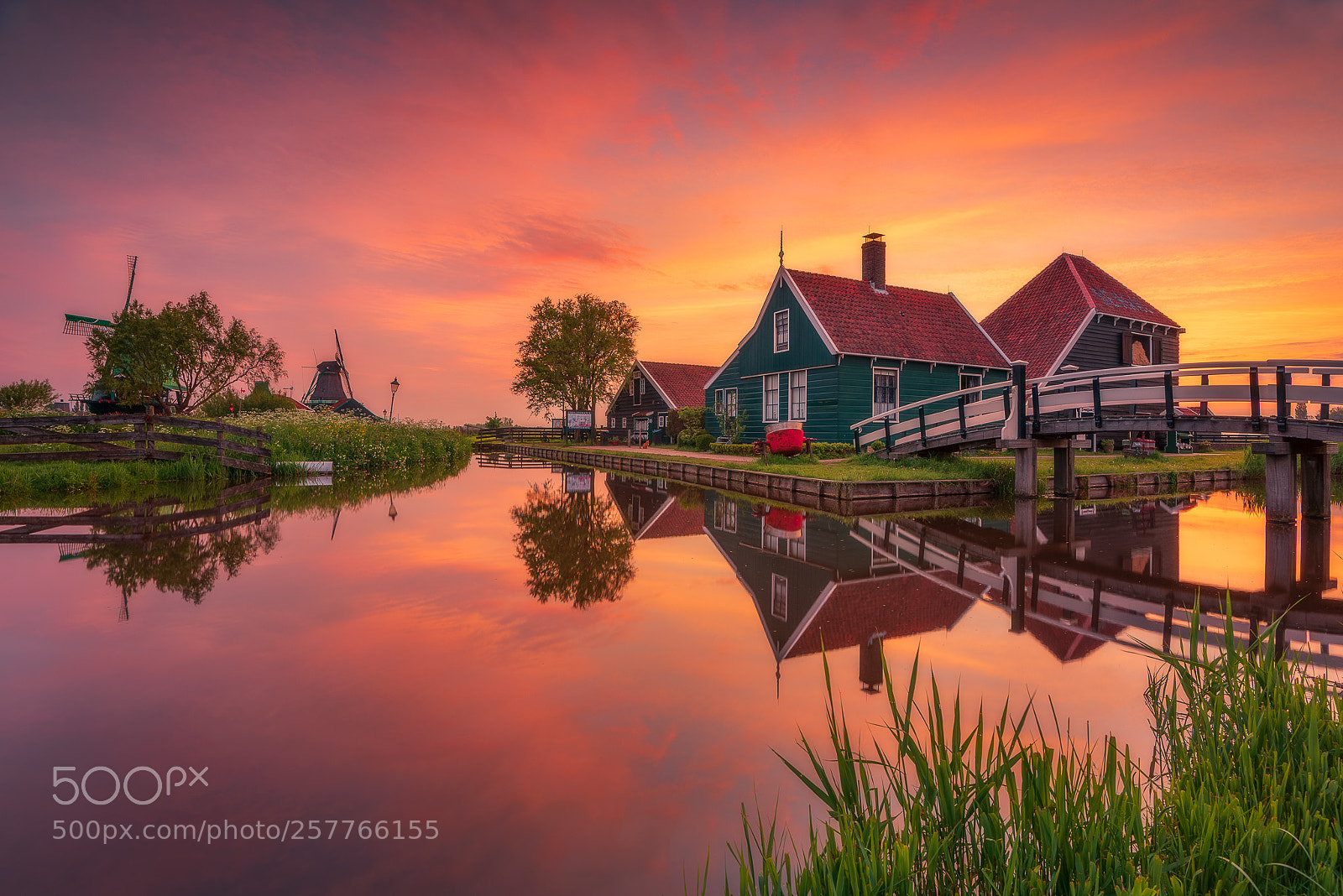 Nikon D810 sample photo. Zaanse sunrise photography