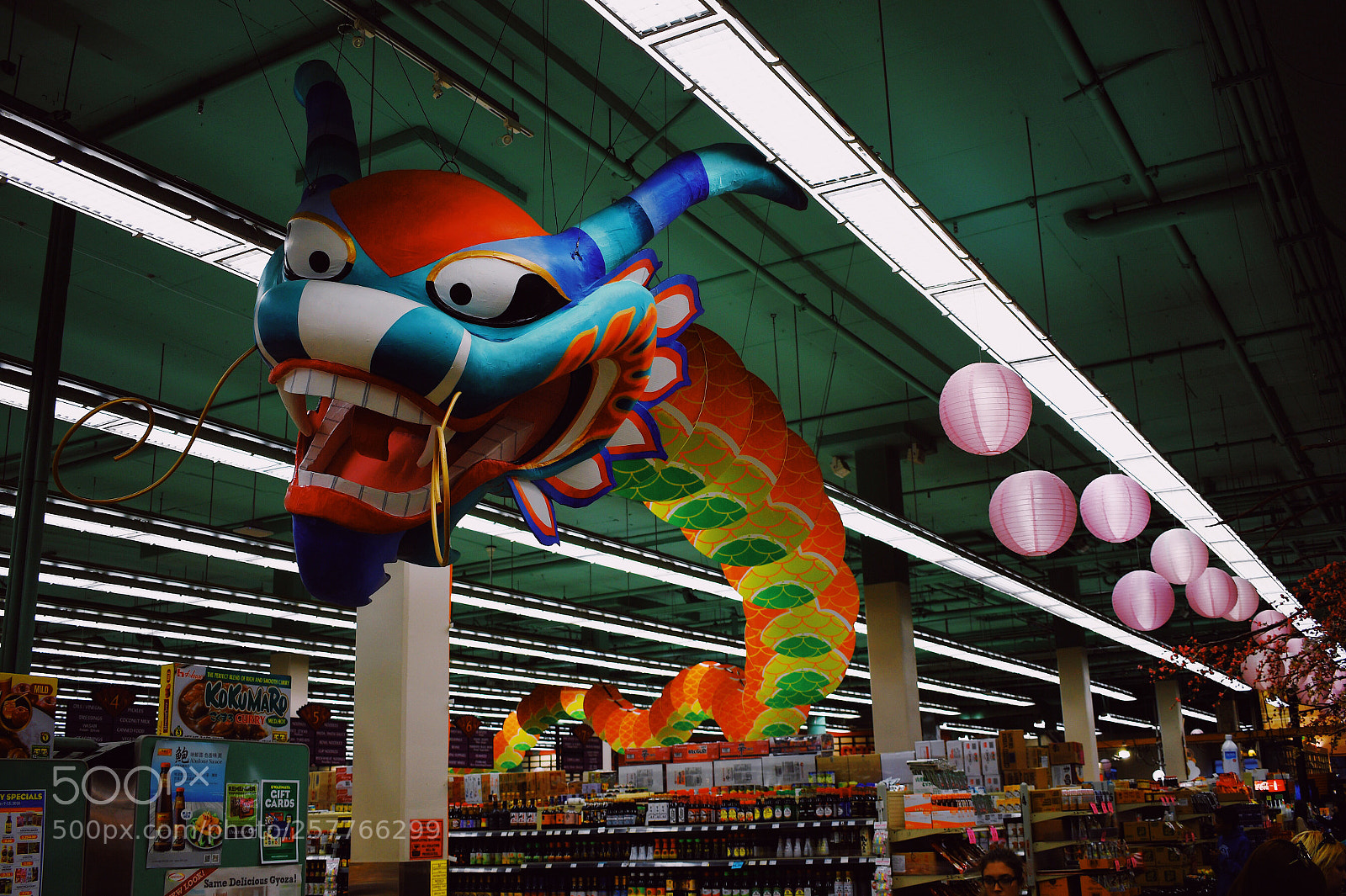 Nikon D850 sample photo. Market dragon. photography