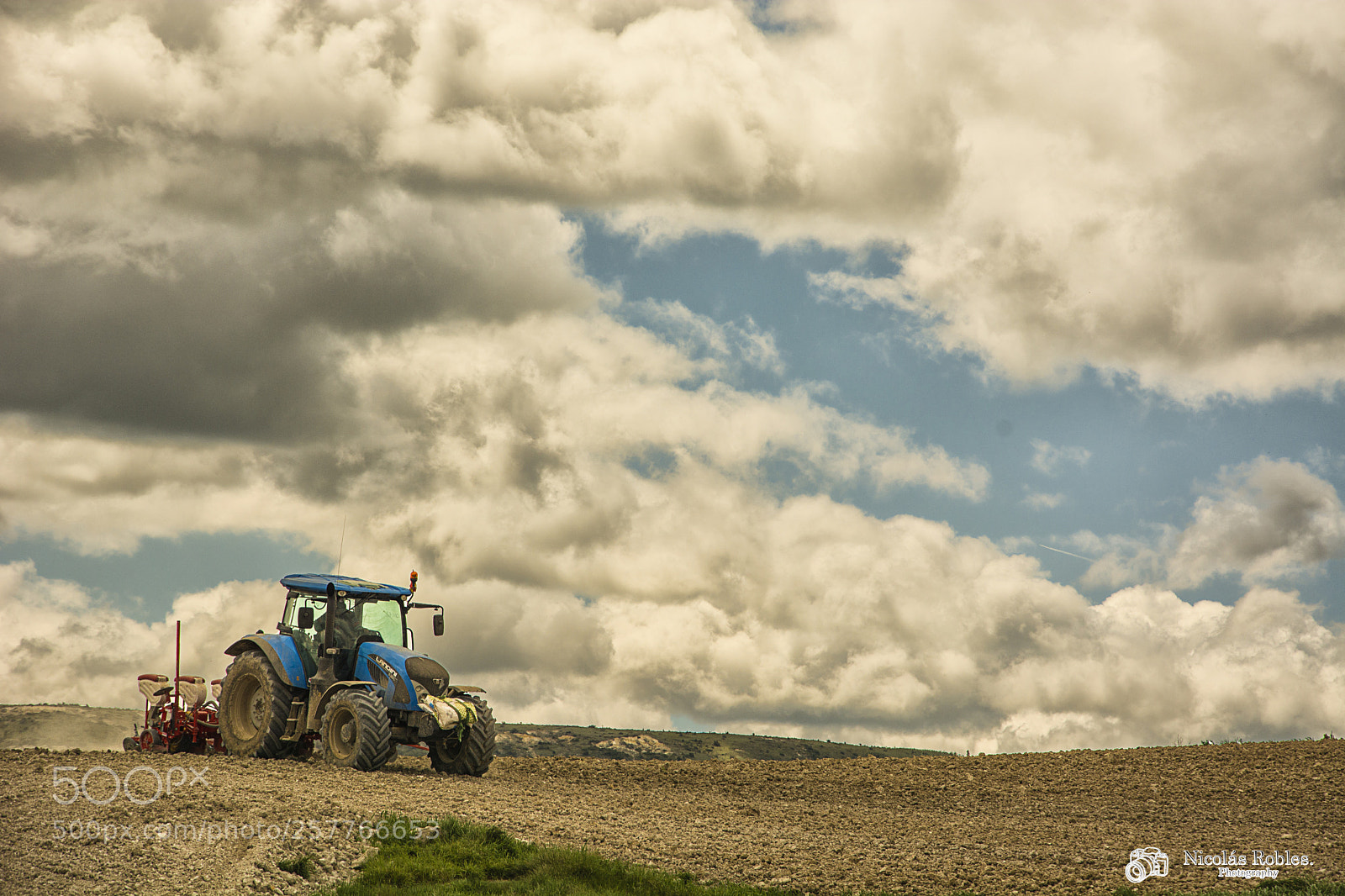 Nikon D7100 sample photo. Sowing sunflower photography