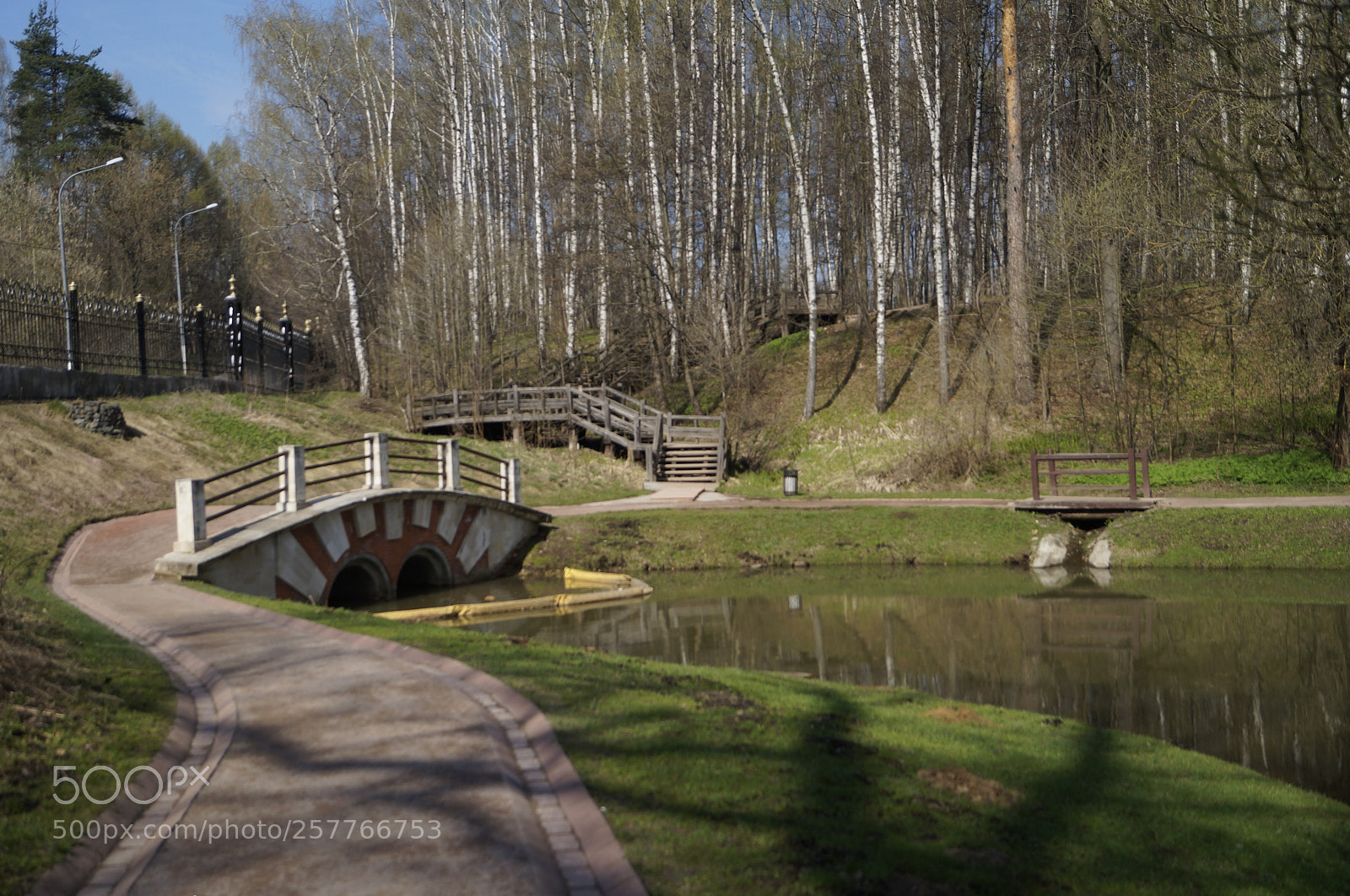 Sony SLT-A57 sample photo. Untitled photography