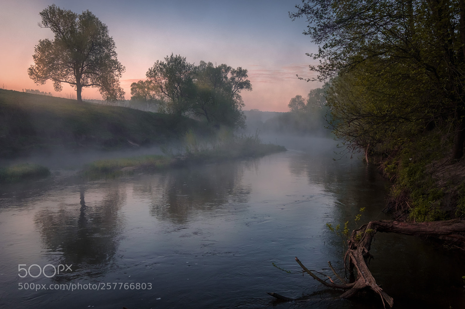 Fujifilm X-H1 sample photo. Osetr at dawn photography