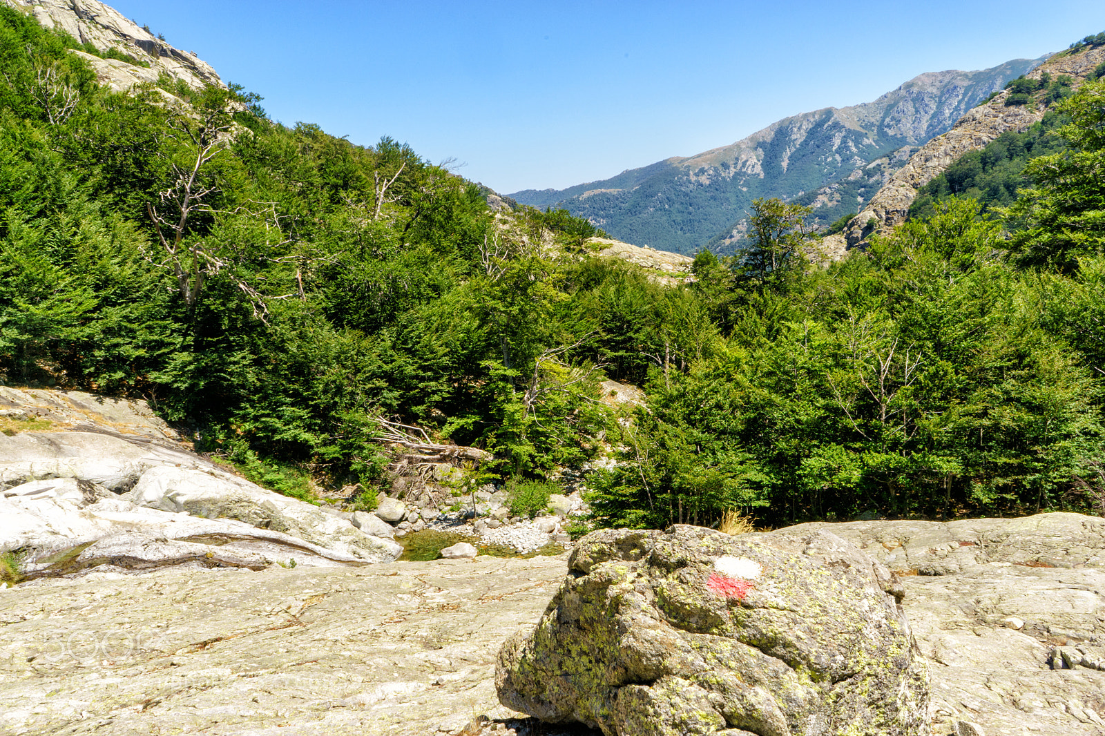 Sony a7 sample photo. Corse gr20 photography