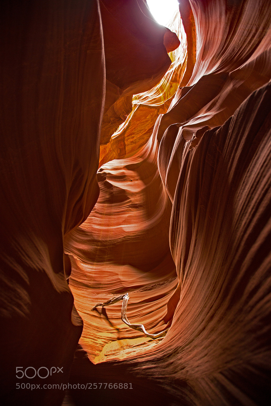 Canon EOS 6D sample photo. Upper antelope photography