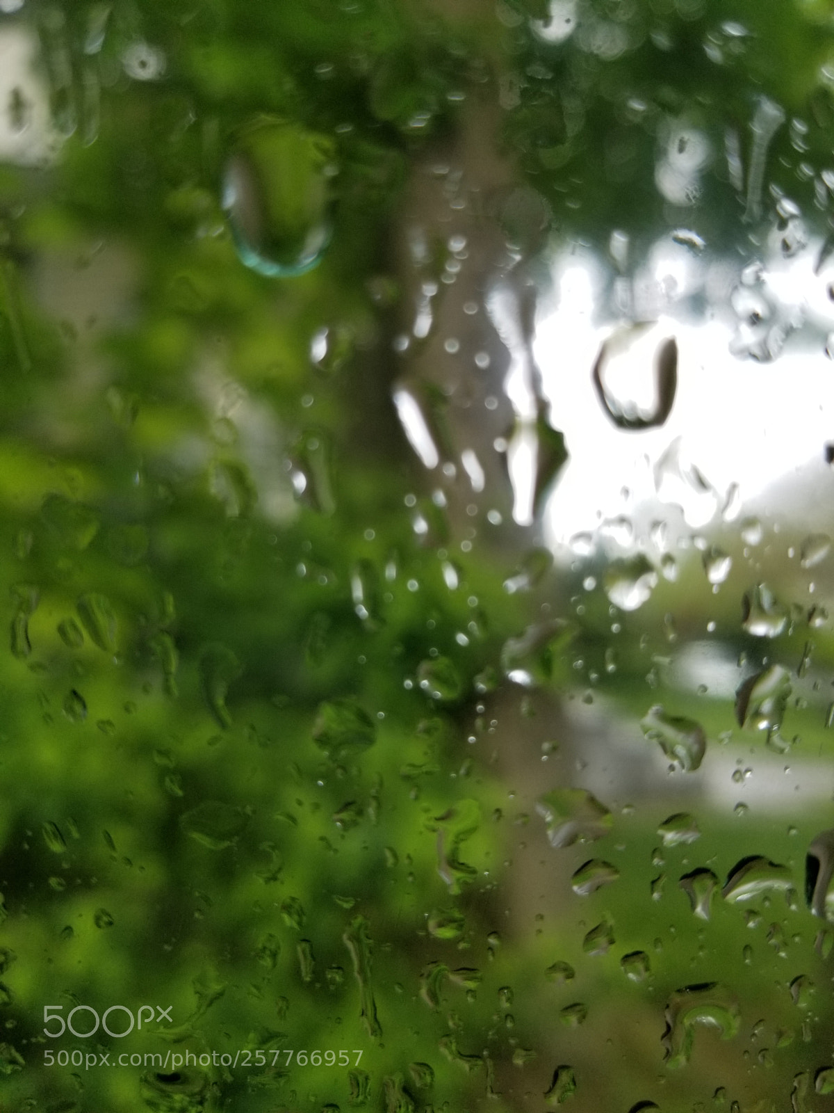 Samsung Galaxy S8 sample photo. Rainy day photography