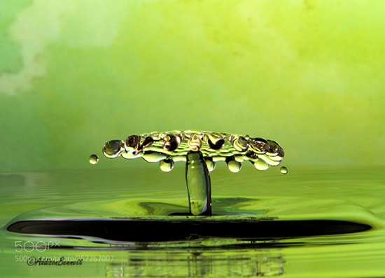 Canon EOS 7D Mark II sample photo. Green crownc photography