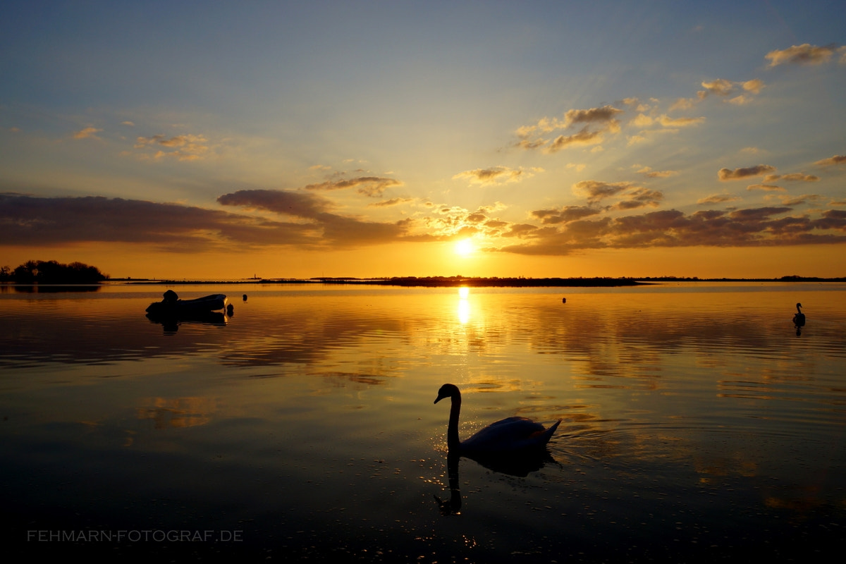 Sony SLT-A77 sample photo. Baltic-sunset ii photography