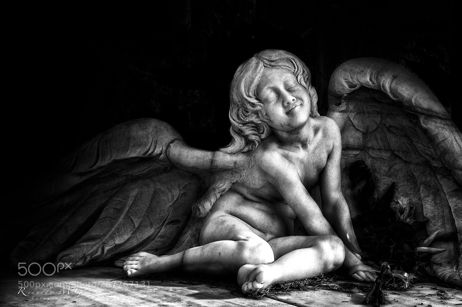 Nikon D7100 sample photo. Angel caído. photography