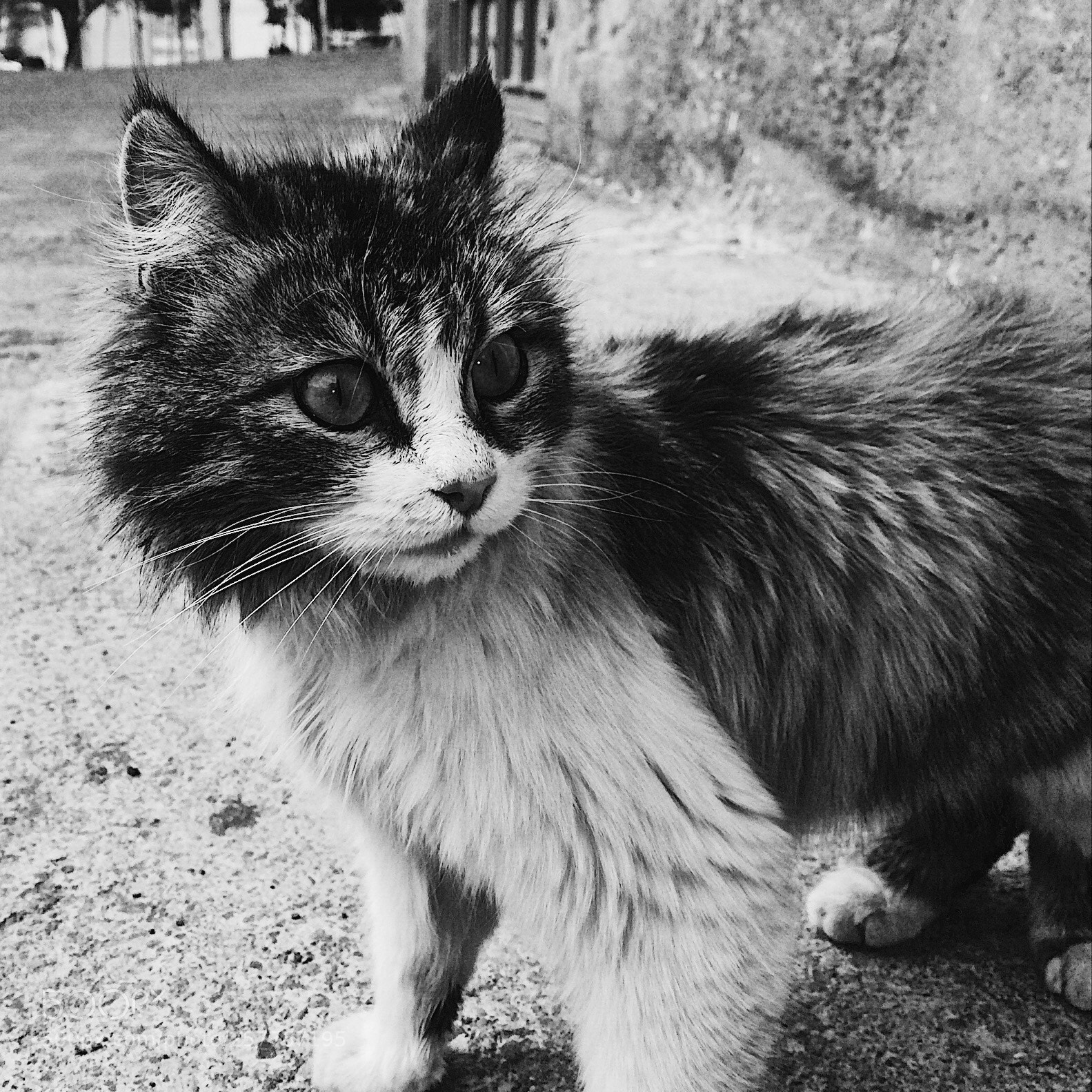 Apple iPhone 5s sample photo. Untitled photography