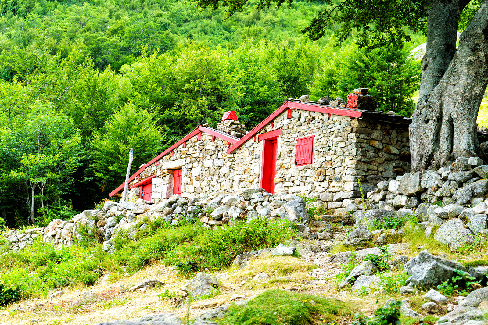 Sony a7 sample photo. Corse gr20 photography