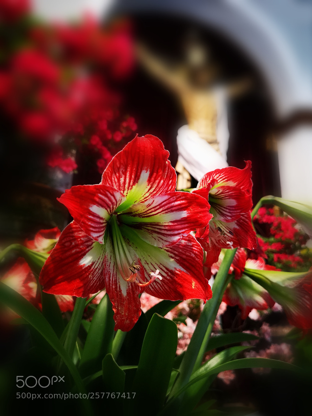 HUAWEI CLT-L09 sample photo. Details photography
