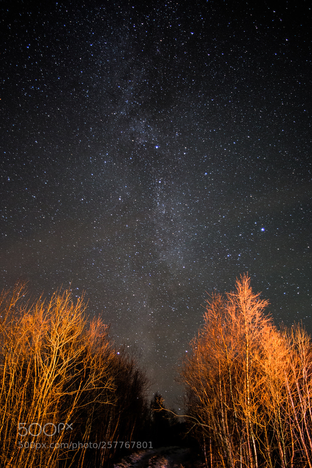 Canon EOS 6D sample photo. Milky photography