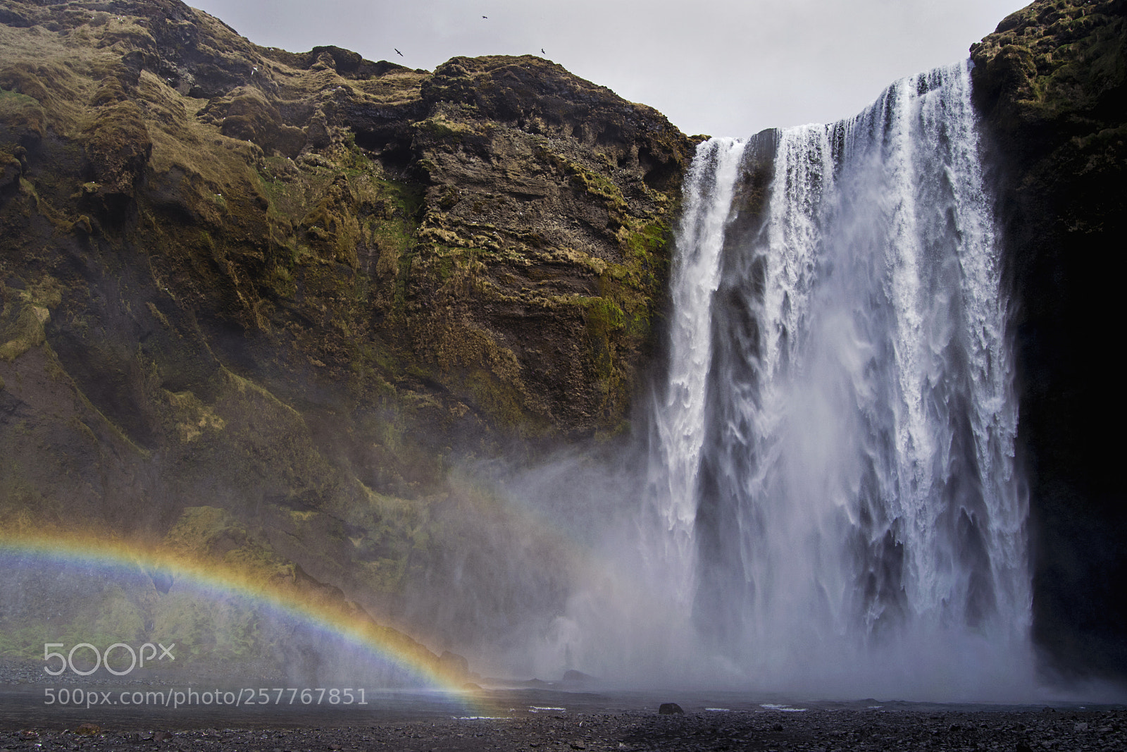 Nikon D5300 sample photo. Skógafoss photography