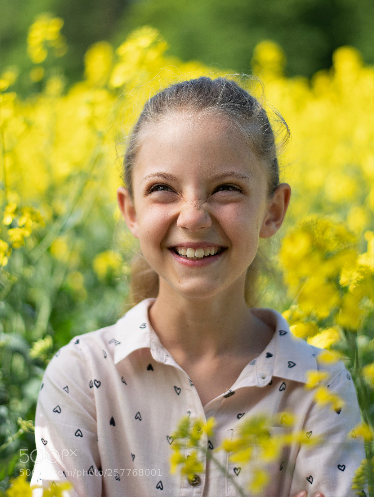 Nikon D500 sample photo. The field of gold... photography