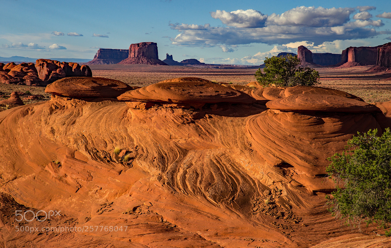 Canon EOS 6D sample photo. Toadstools and valley view photography