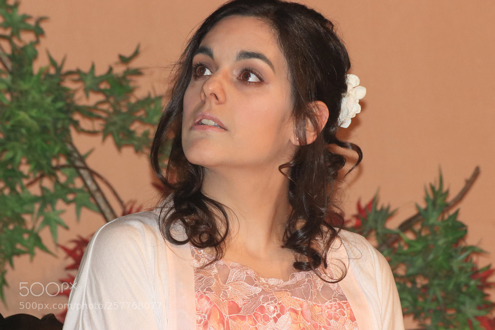 Canon EOS 80D sample photo. L'importanza di chiamarsi ernest photography