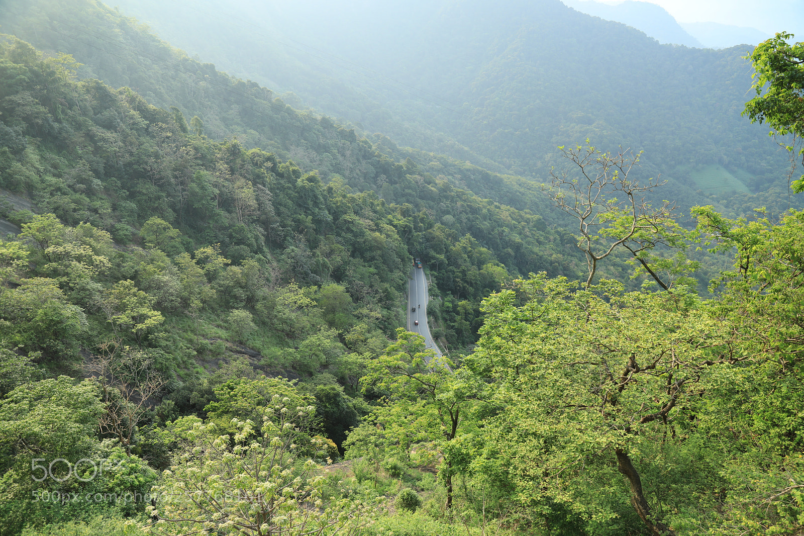 Canon EF 24-105mm F4L IS USM sample photo. Wayanad photography