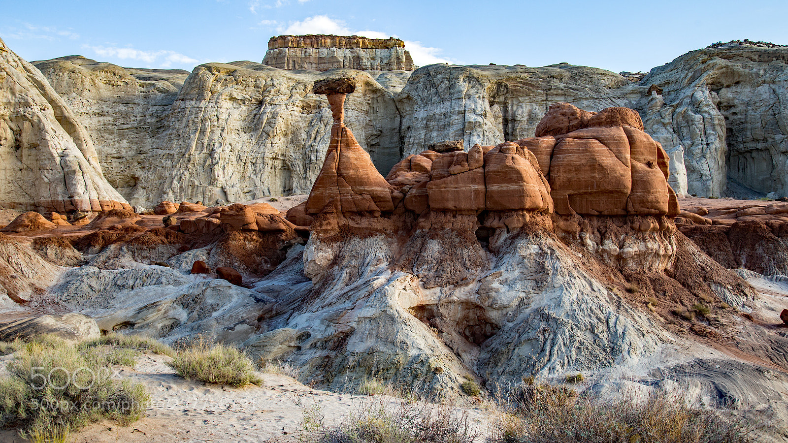 Canon EOS 6D sample photo. Toadstools photography