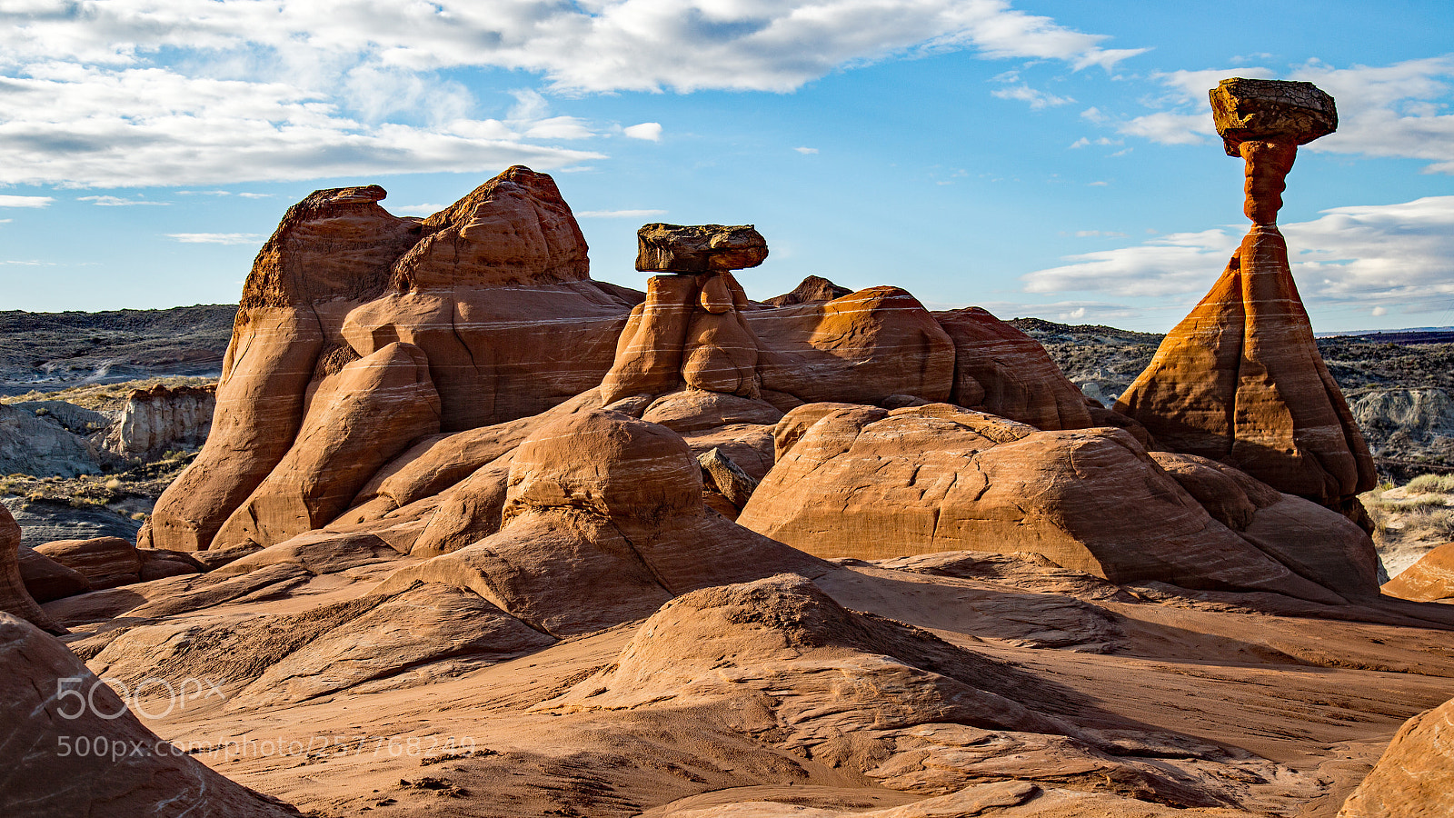Canon EOS 6D sample photo. Toadstools photography