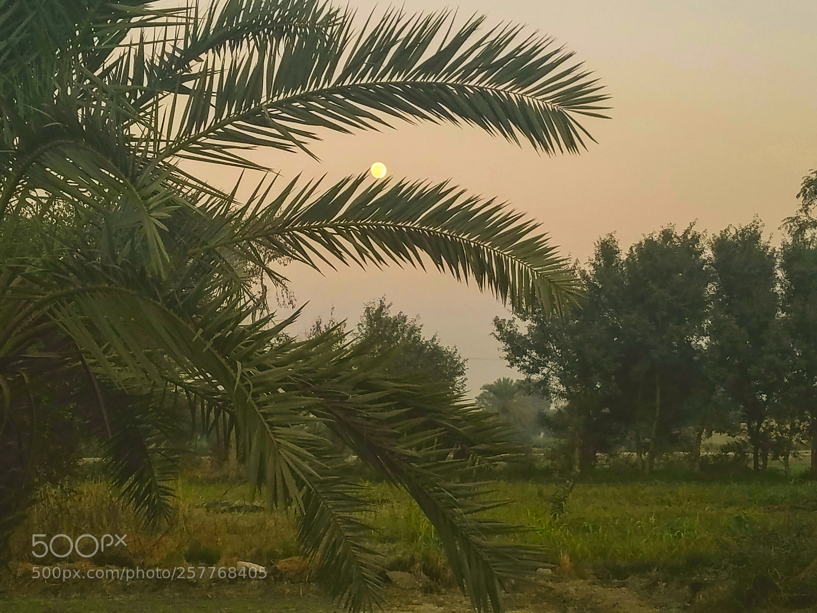 Samsung Galaxy S7 sample photo. Beautiful evening photography