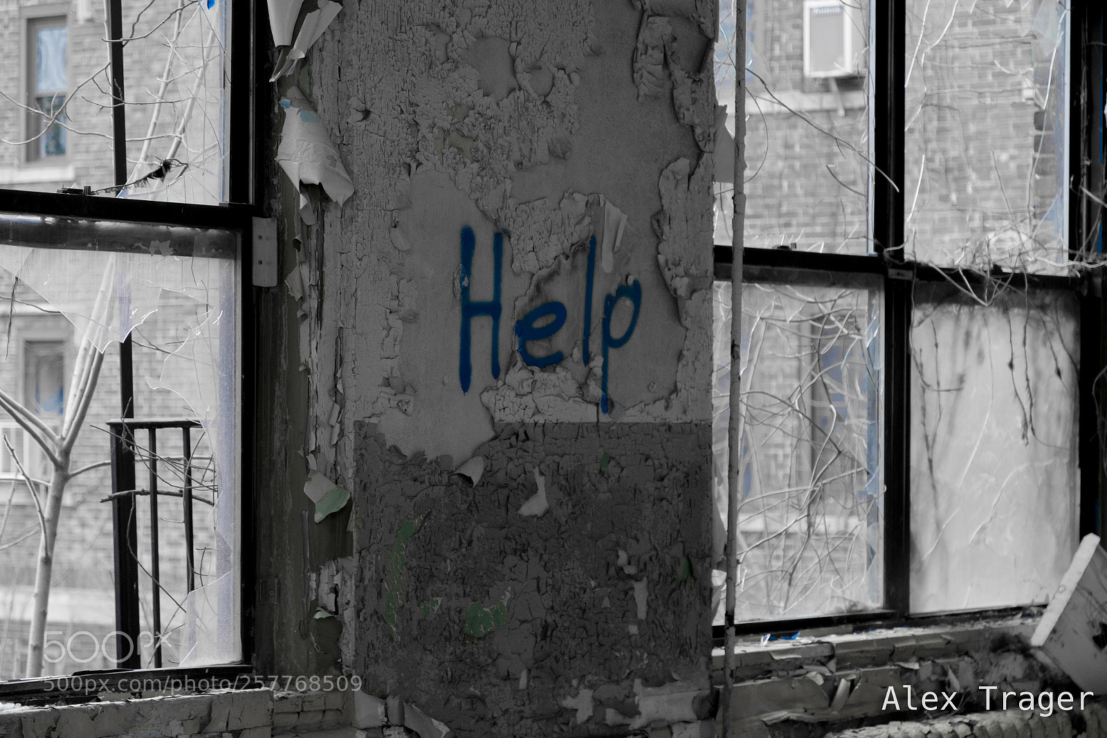Nikon D500 sample photo. A simple request photography