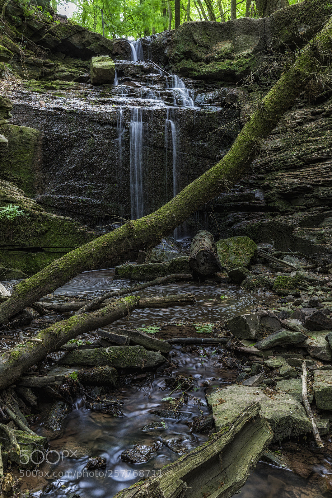 Canon EOS 6D sample photo. [gorge ii] photography