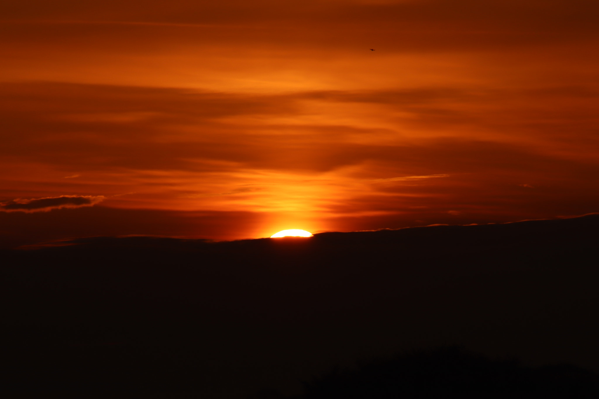 Canon EF 75-300mm f/4-5.6 sample photo. Img photography