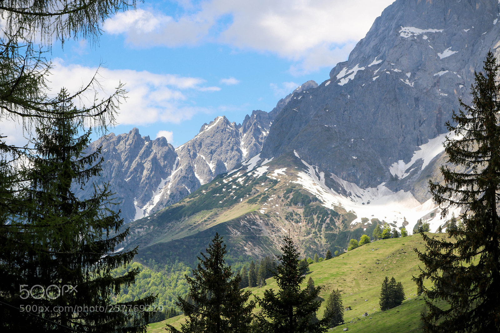 Canon EOS 750D (EOS Rebel T6i / EOS Kiss X8i) sample photo. Langsam wirds auch in photography