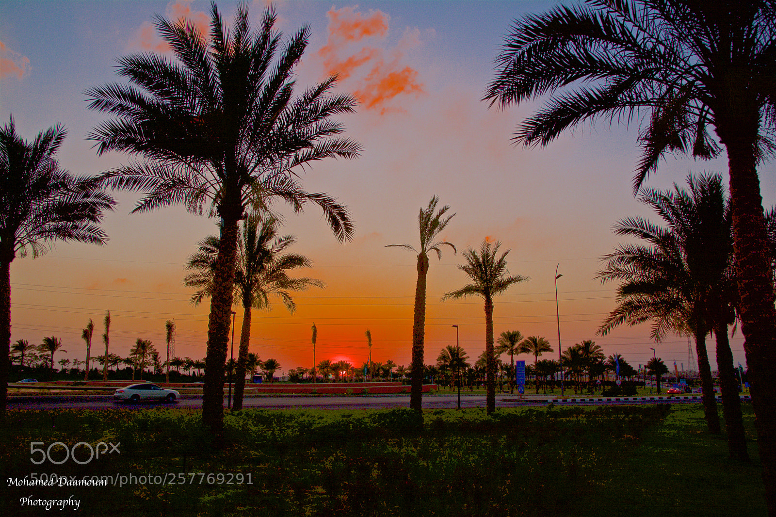 Nikon D7100 sample photo. Golden time photography