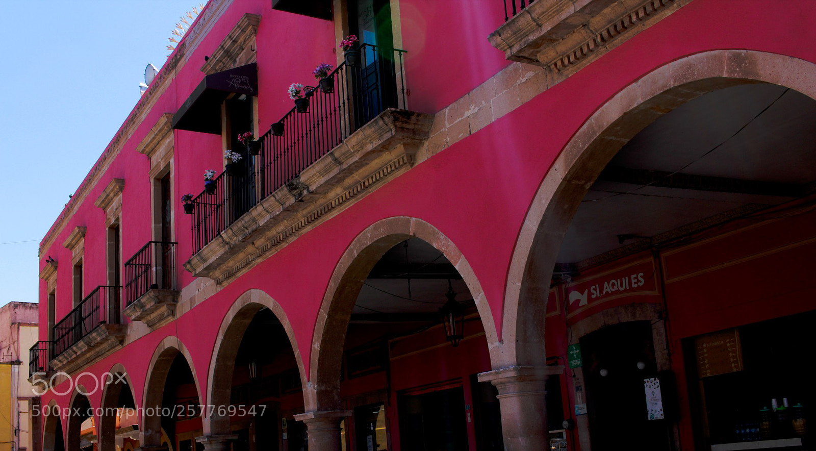 Canon EOS 1300D (EOS Rebel T6 / EOS Kiss X80) sample photo. Arcos rosados photography
