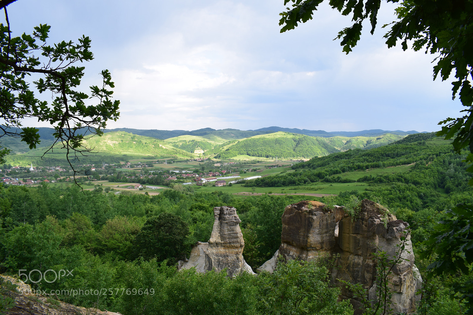Nikon D5300 sample photo. Dragon's garden photography
