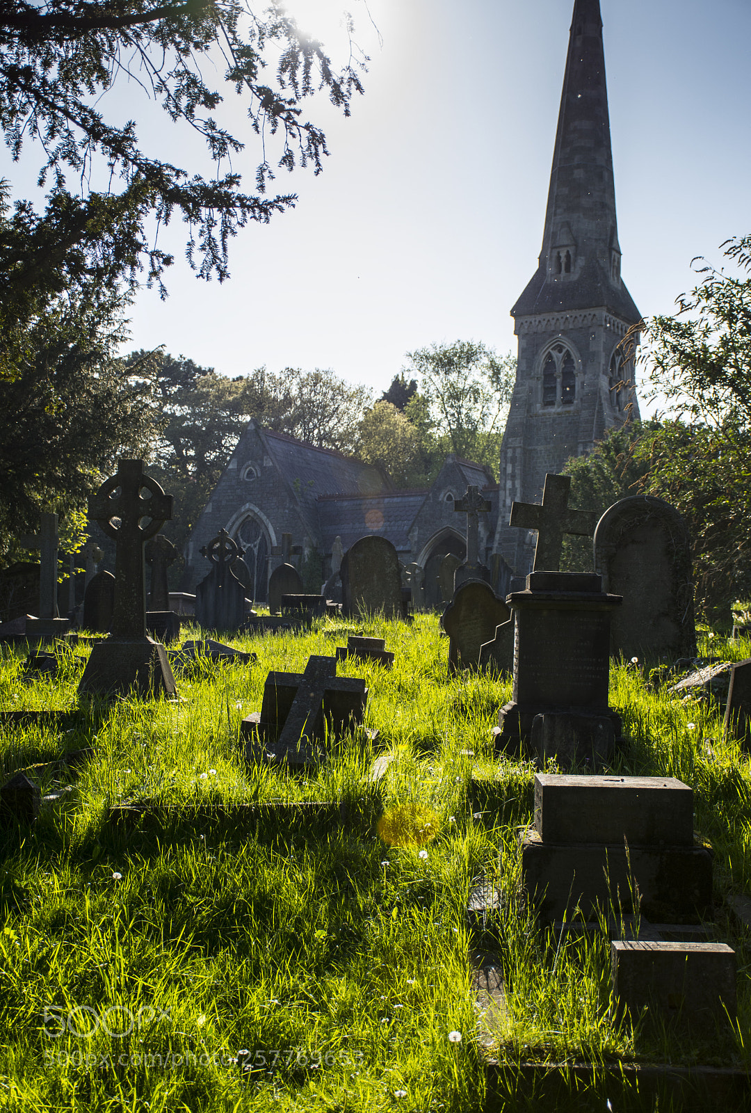 Nikon D7200 sample photo. Evening sun photography