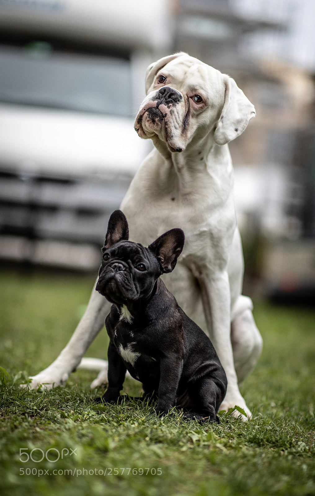 Canon EOS-1D X Mark II sample photo. Freunde  photography