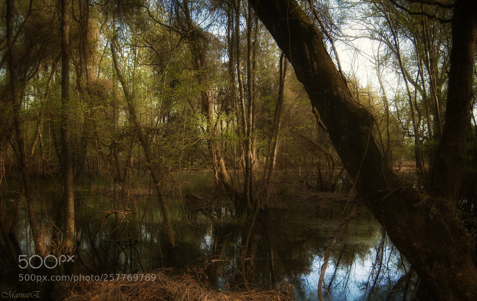 Nikon D50 sample photo. Untitled photography