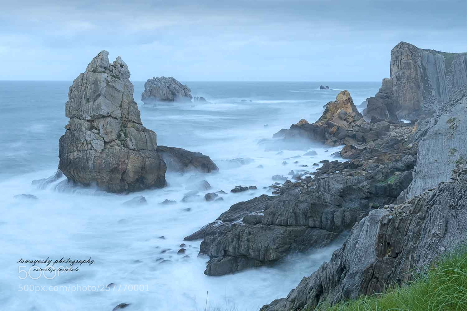 Nikon D810 sample photo. Urros de costa quebrada photography