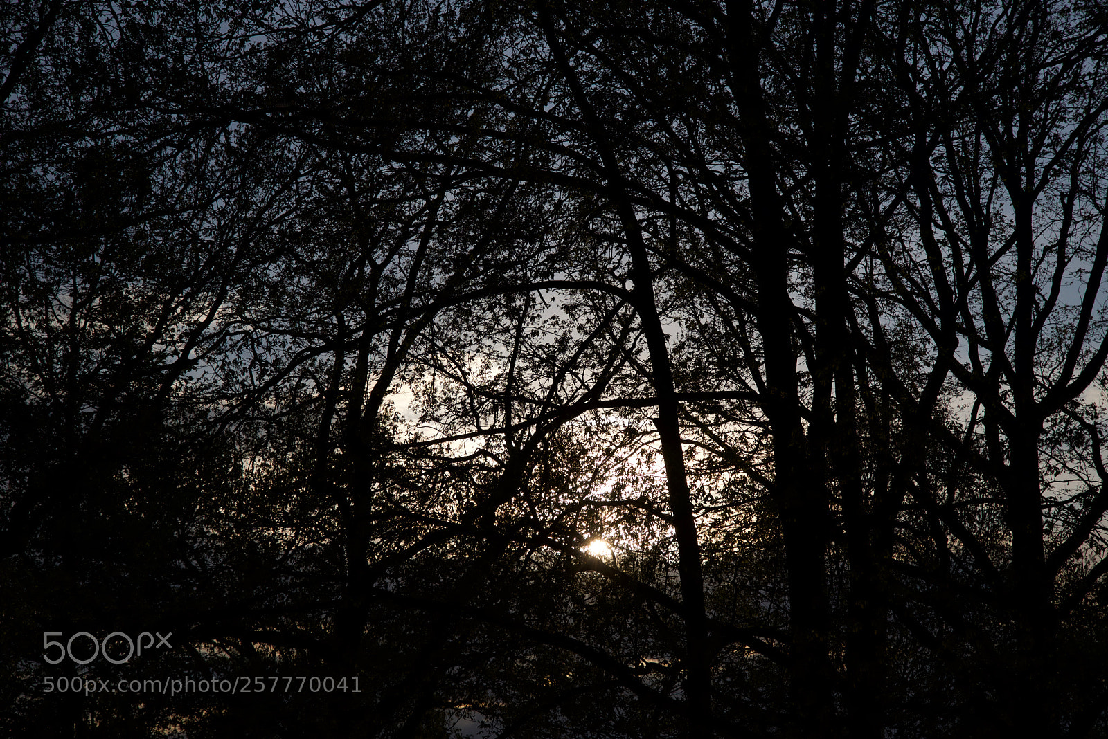 Nikon D750 sample photo. Img photography