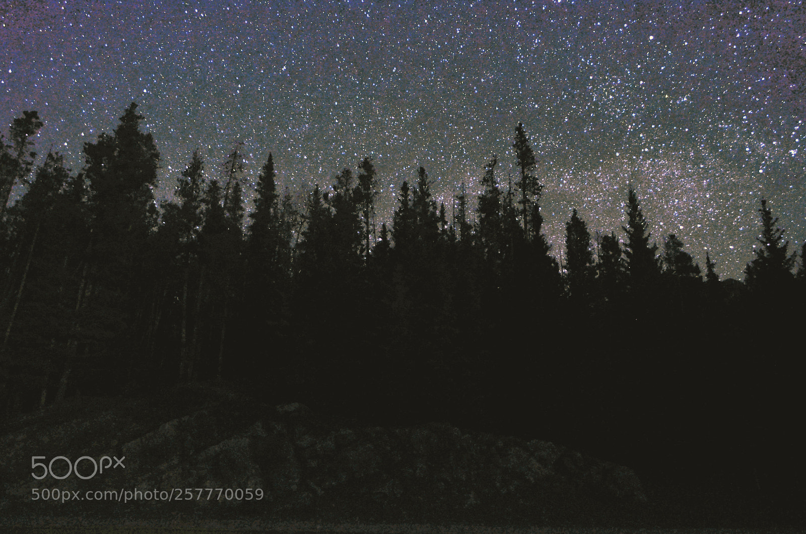 Nikon D5100 sample photo. Under the night sky photography