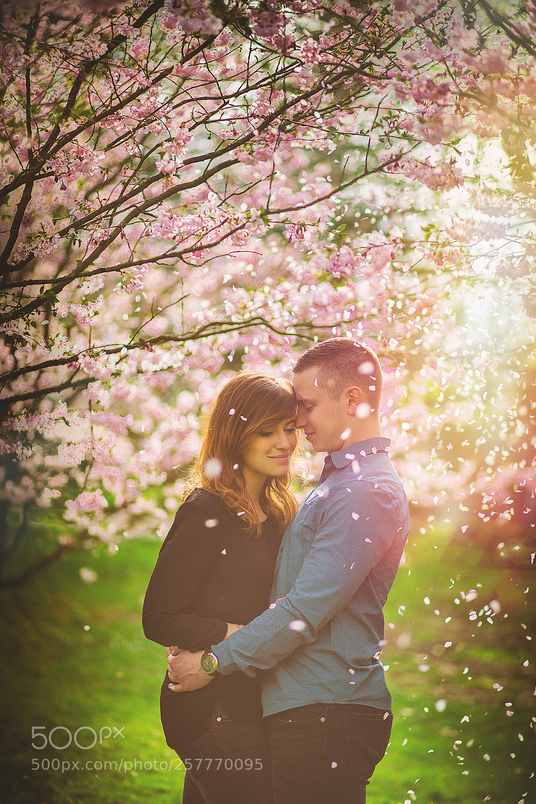 Canon EOS 5D Mark IV sample photo. Love in the air photography