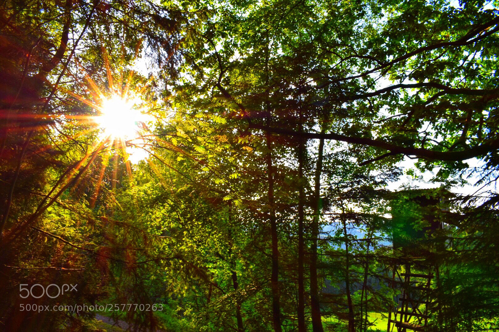 Nikon D5300 sample photo. Untitled photography