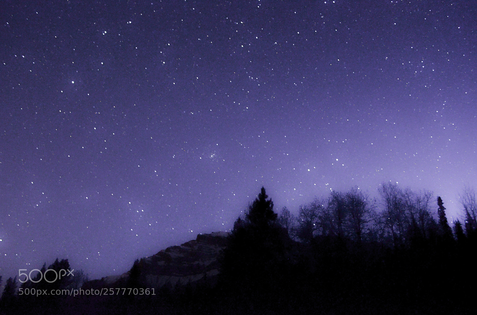 Nikon D5100 sample photo. Under the night sky photography