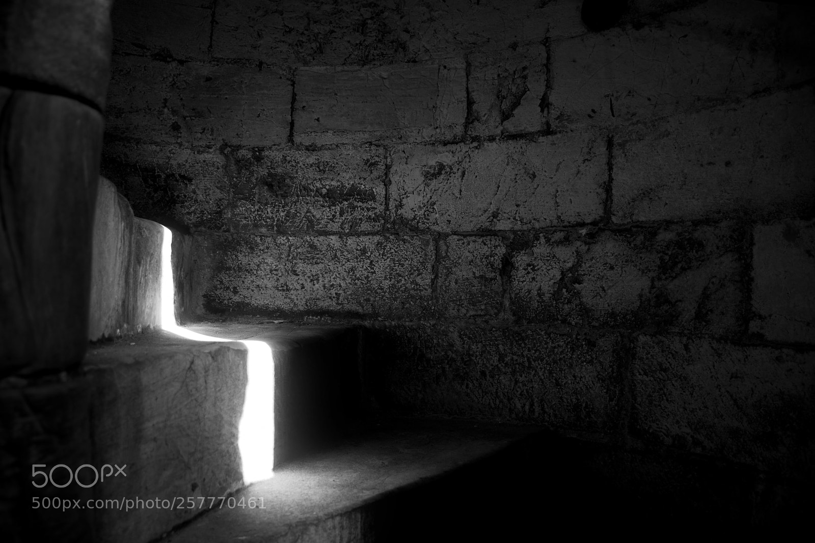 Nikon D5600 sample photo. Bouncing light photography