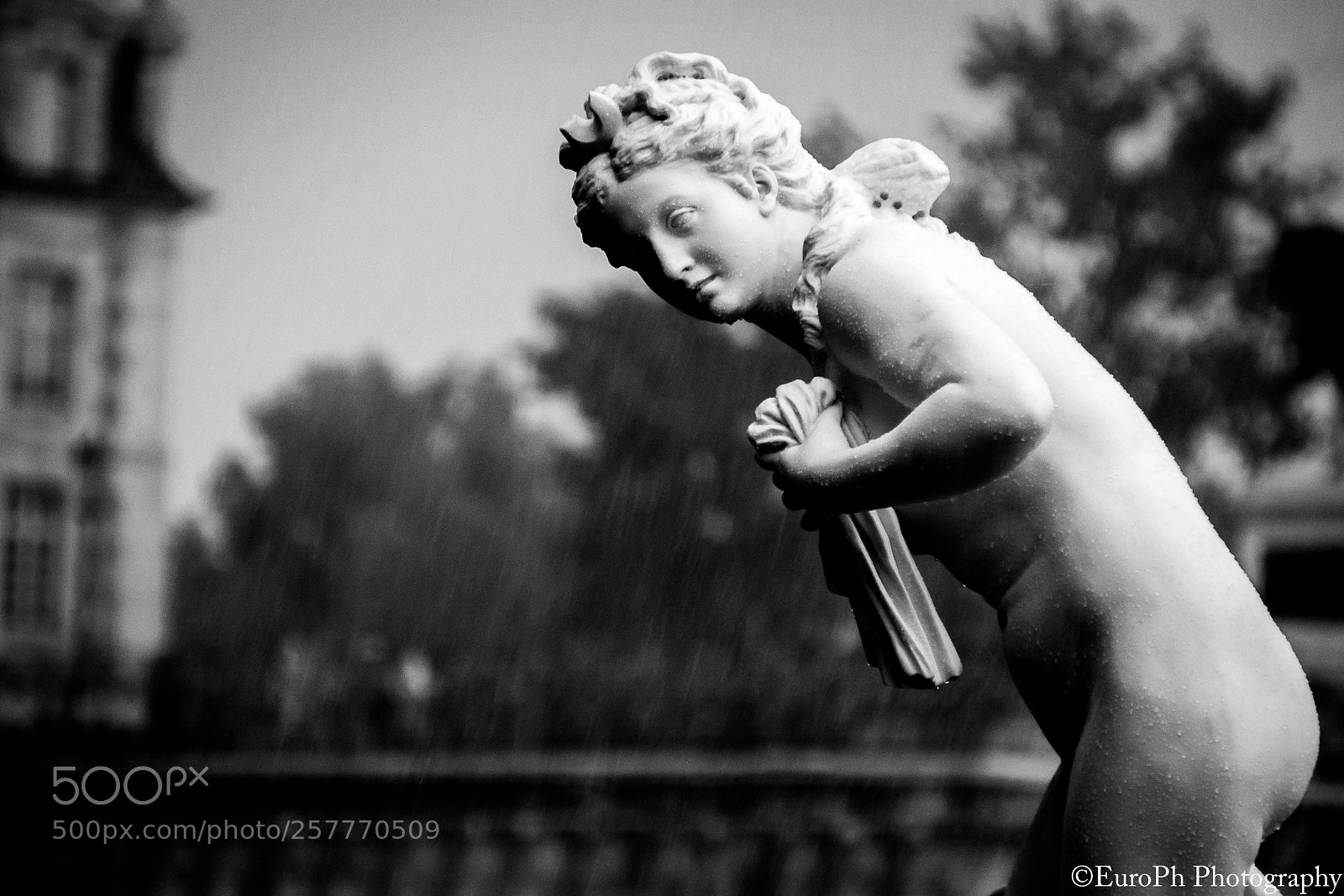 Nikon D3100 sample photo. Under the rain photography