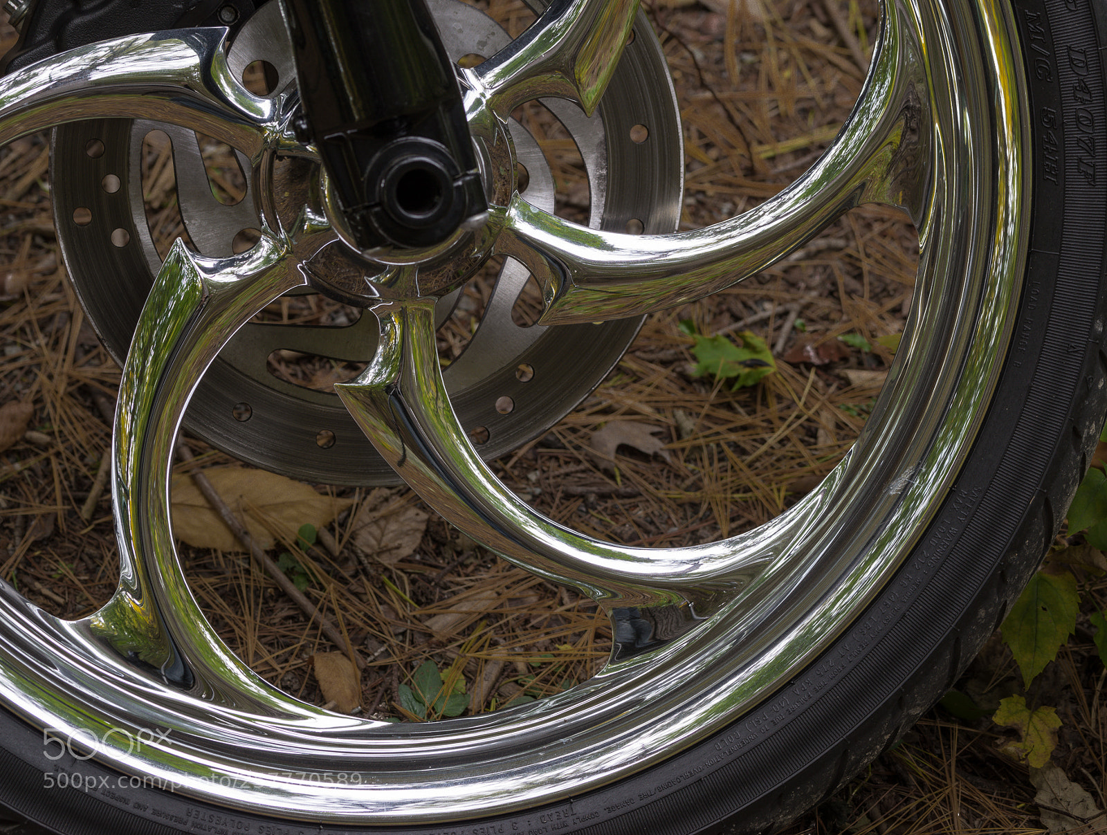 Sony a7 II sample photo. Dsc photography