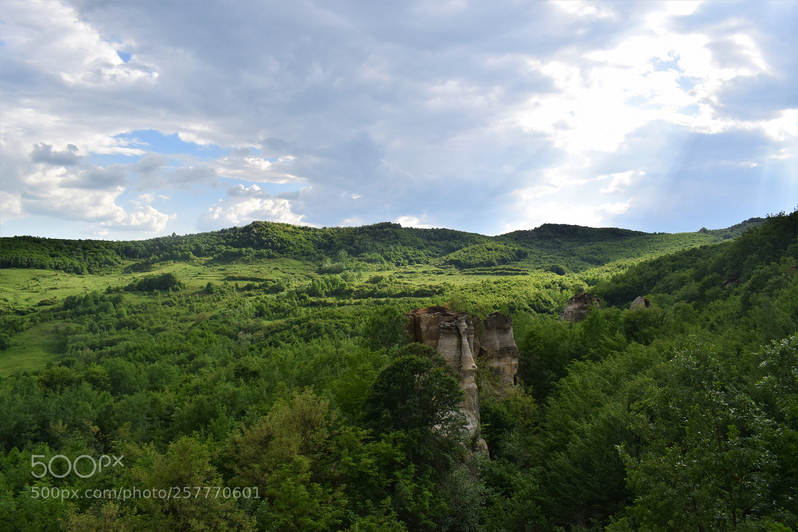 Nikon D5300 sample photo. Dragon's valley photography