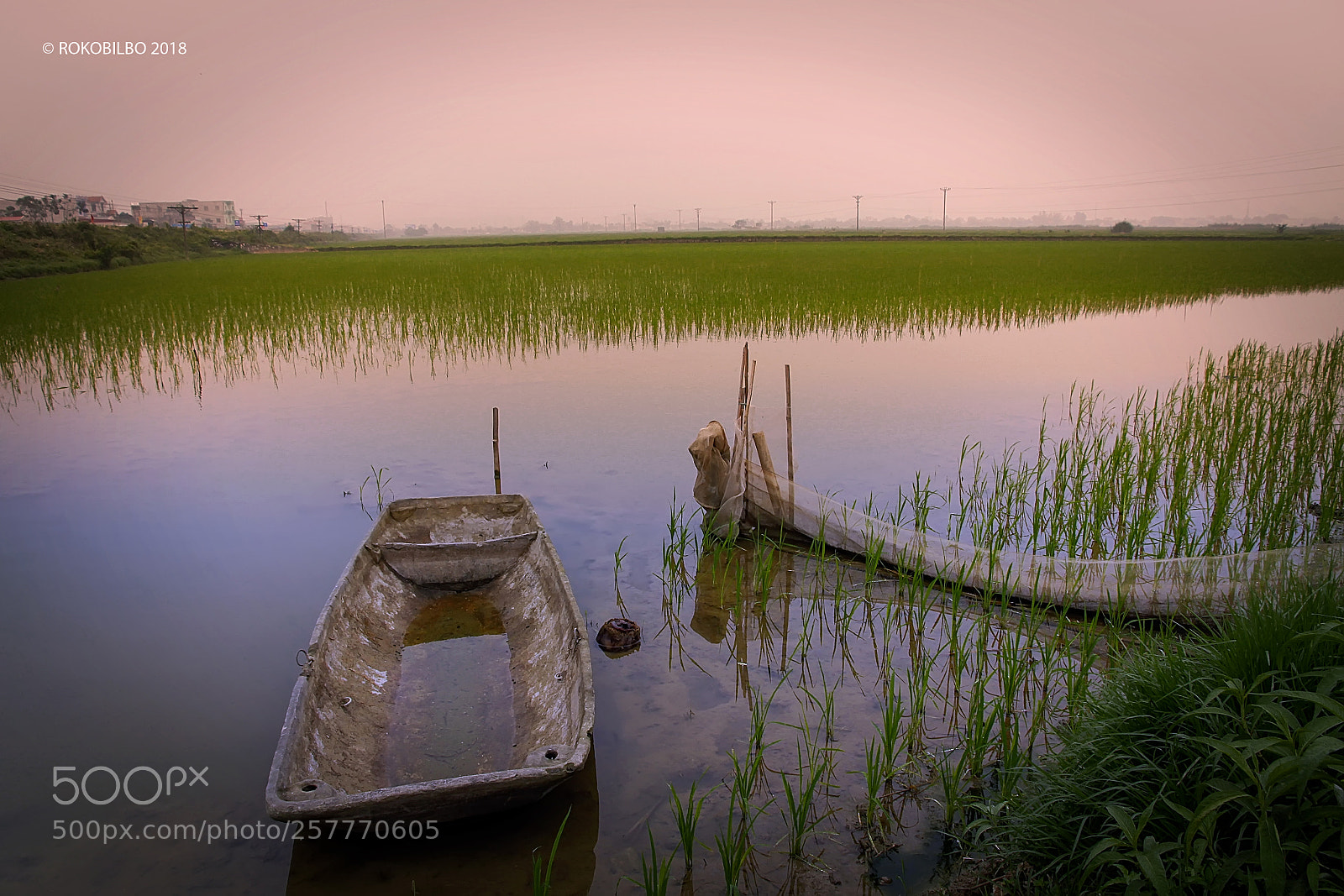 Canon EOS 50D sample photo. Vietnamese rice fields 3 photography