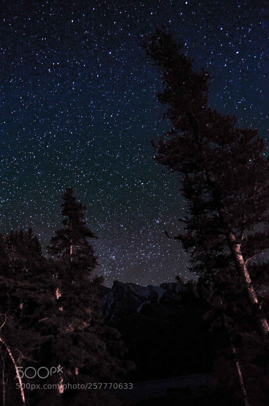 Nikon D5100 sample photo. Under the night sky photography