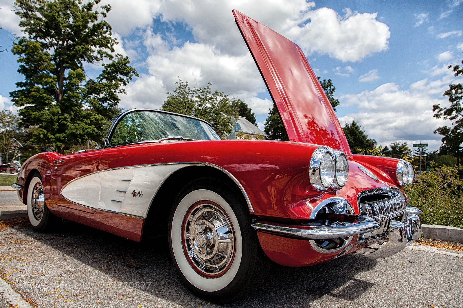 Canon EOS 5D Mark II sample photo. Vette photography
