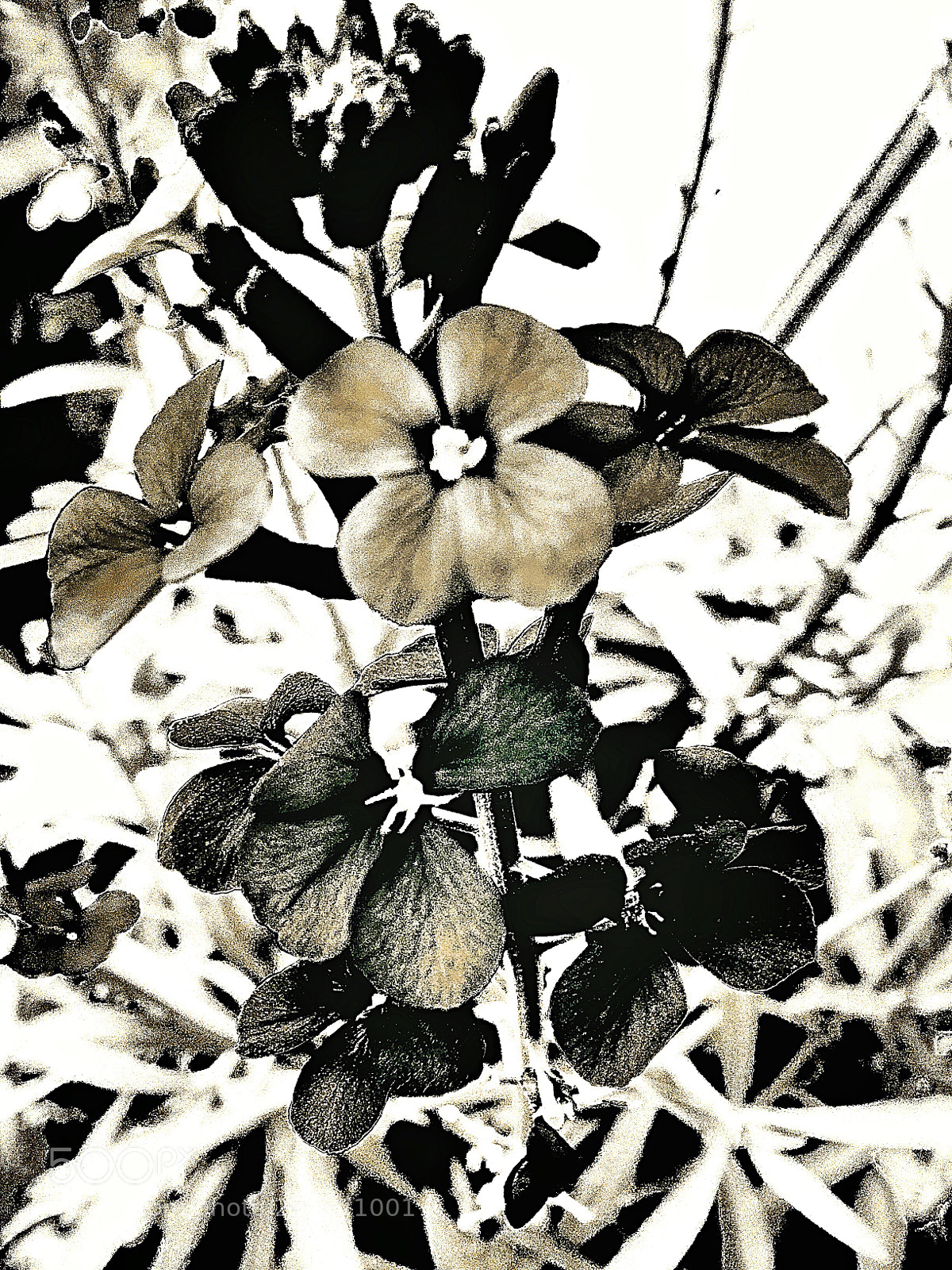 Apple iPhone 5s sample photo. Dark and light photography