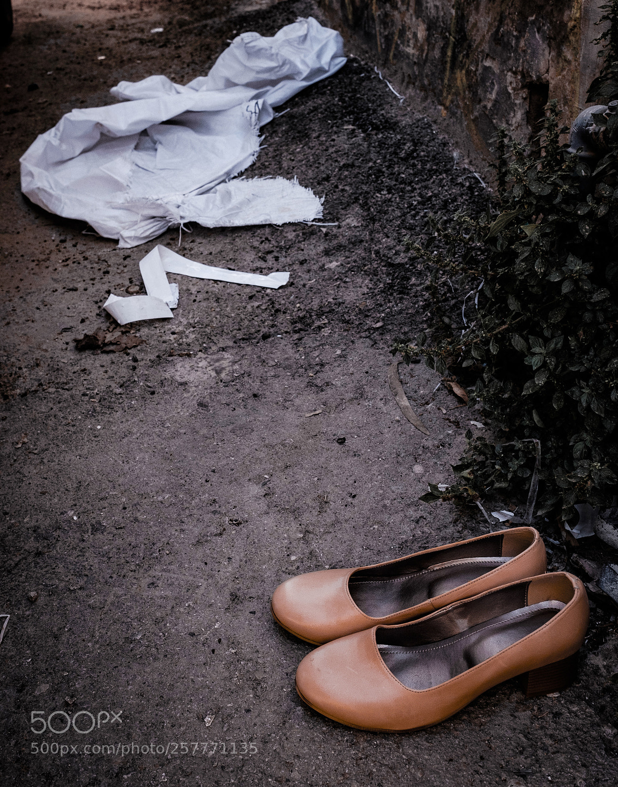Fujifilm X-T1 sample photo. Cinderella photography