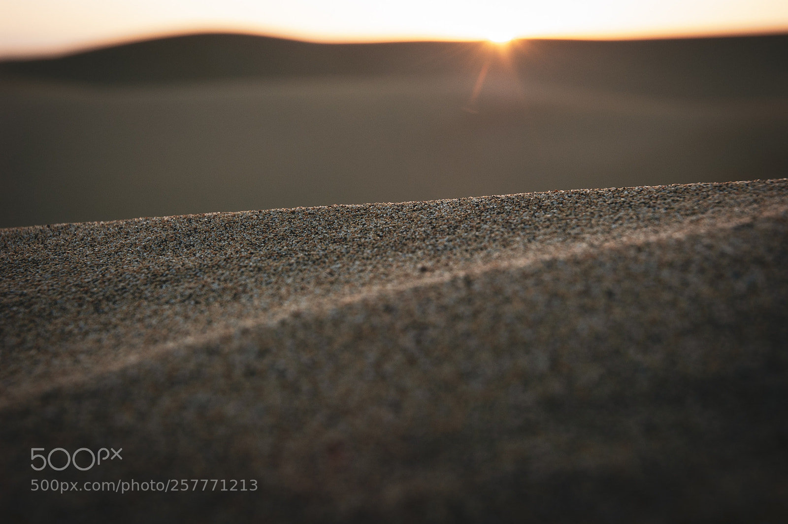 Nikon D70s sample photo. Sand photography